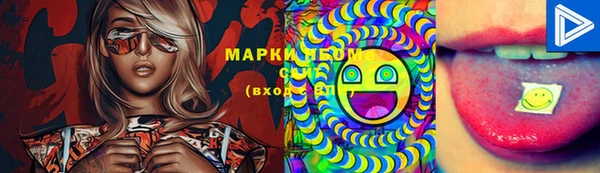 mix Богородицк